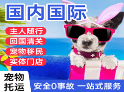 呼和浩特白塔空运国际宠物托运 【国